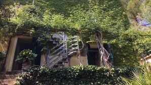 A building with a staircase leading to a door, surrounded by dense greenery. - Casa Monella 2 (Rio)