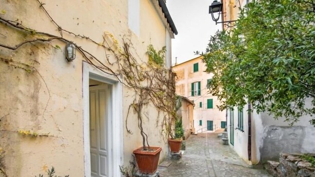 A narrow cobblestone alley with potted plants and a door leading to a building. - Casa Monella 2 (Rio)