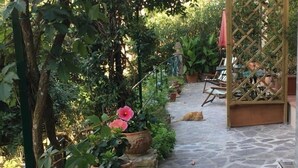 A stone-paved pathway lined with potted plants and a wooden lattice structure. - Casa Monella 2 (Rio)