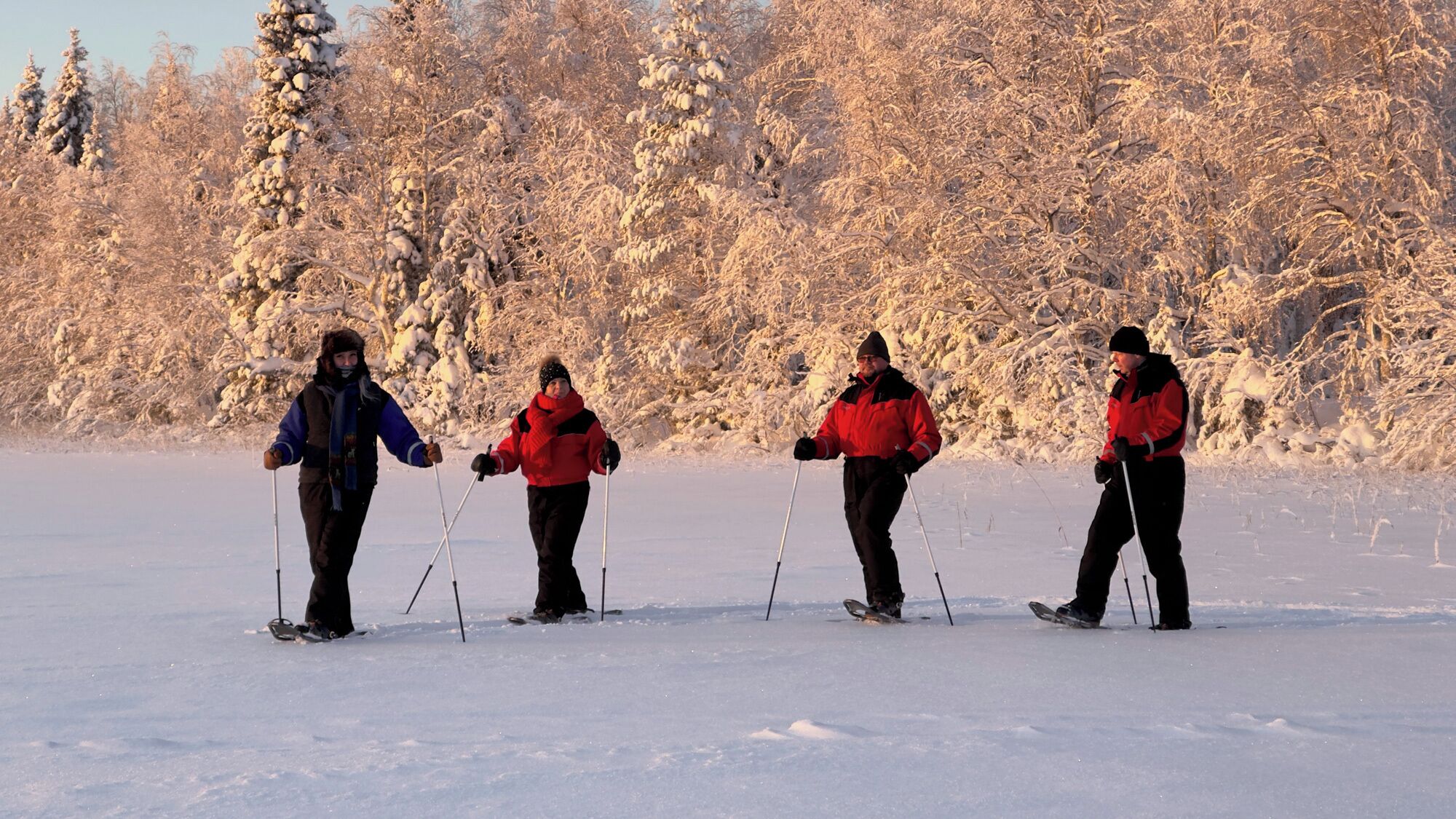 Four people cross-country skiing on a snow-covered path with trees in the background.