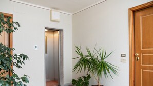 Un pasillo con una puerta de madera, una planta en maceta y un ascensor cerrado.