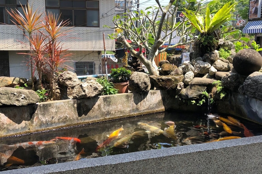 嘉義中崙泥漿溫泉評價、特色體驗、房價資訊、訂房連結 – 天然泥漿湯屋與在地美食 - 照片 13