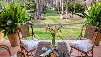 Ein Garten-Terrasse mit Korbstühlen, einem Tisch mit Blumenvase und Topfpflanzen.
