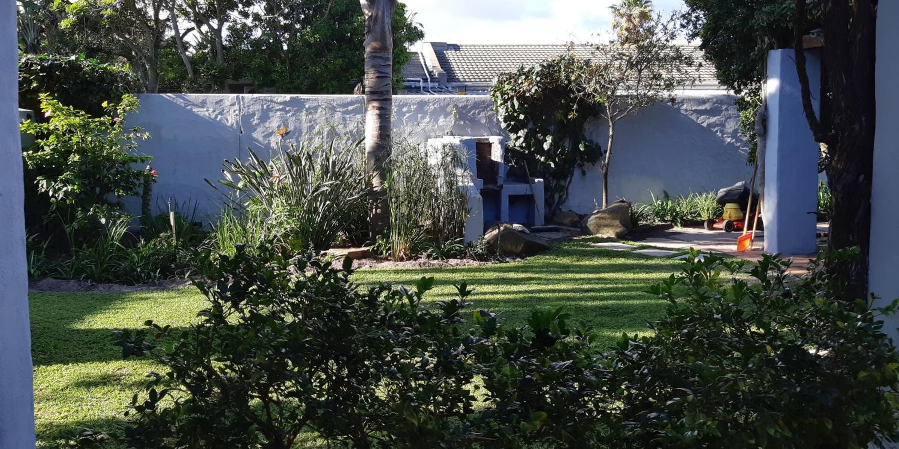A well-maintained garden with a lawn, various plants, and a white wall in the background.