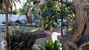 A tropical garden with a pond, palm trees, and various plants. - Be My Guest Lodge (Cape Town)