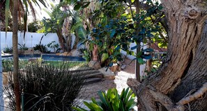 Exterior - Be My Guest Lodge (Cape Town)