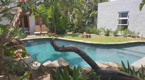 A swimming pool with a naturalistic design, surrounded by rocks and plants, and a modern building in the background. - Be My Guest Lodge (Cape Town)