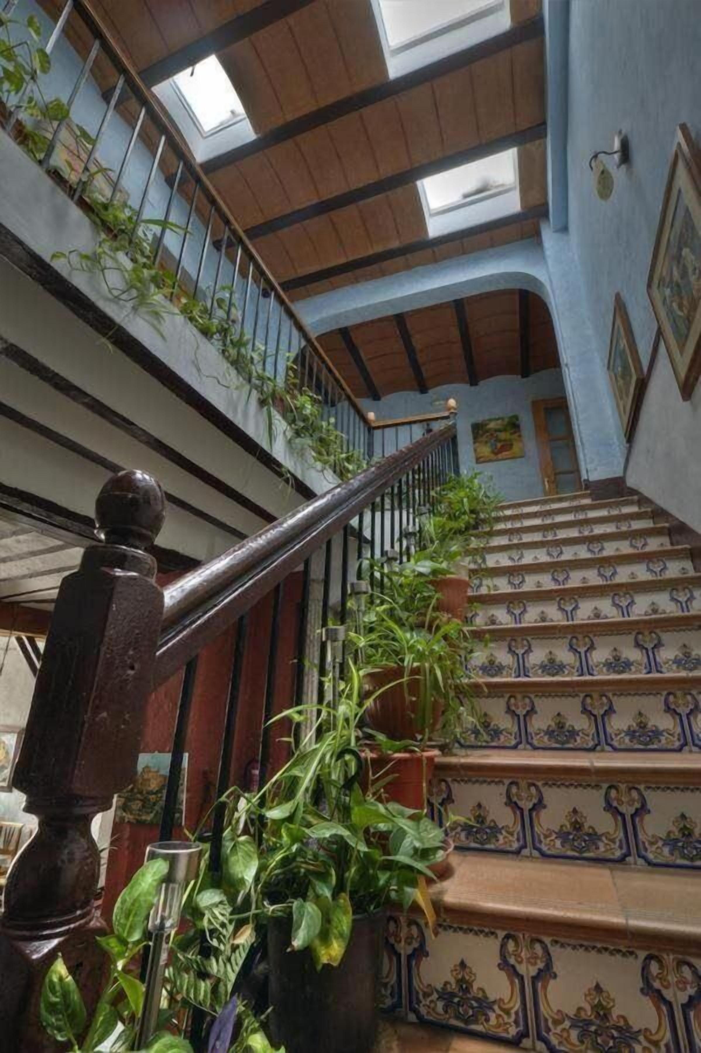 A staircase with ornate blue and white tiles, a wooden handrail, and potted plants.