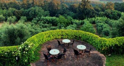 Agriturismo L'Antica Fornace