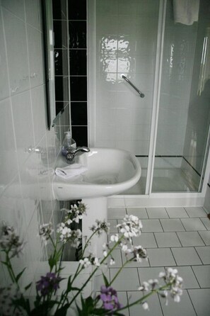 Free toiletries, hair dryer, towels, toilet paper - Seapoint House (Westport)