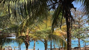 Ein Holzsteg führt zu einem Strand mit Palmen und freiem Blick auf das Meer.