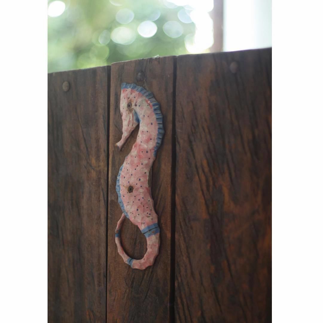 Une surface en bois sur laquelle est fixé un objet en forme de cheval de mer.