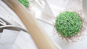 A white table with a green plant in a nest-like structure. - Hotel Spies (Gladenbach)