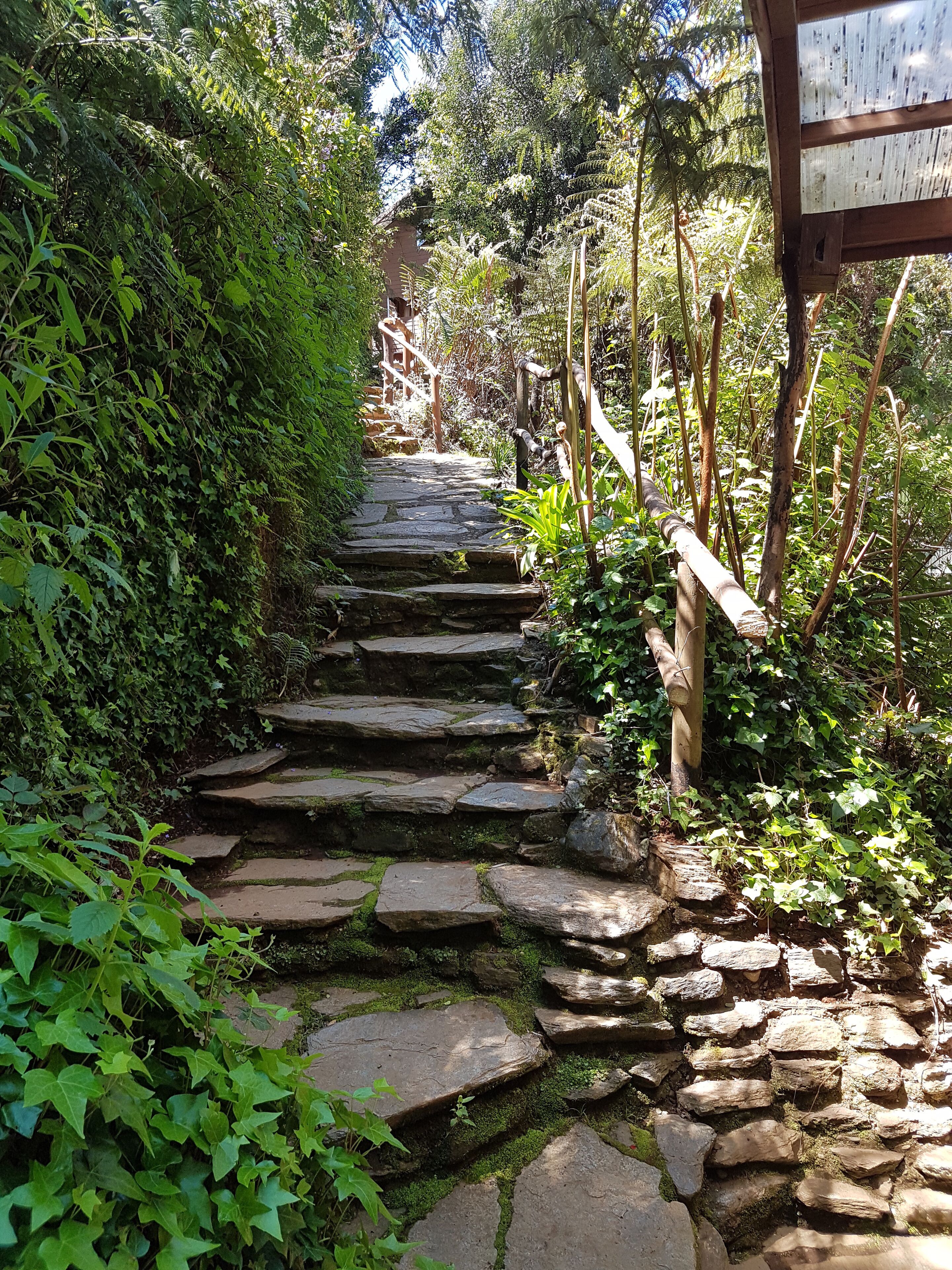 Chucao | Zona de estar | Una Smart TV, Netflix