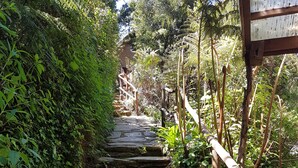 A stone staircase surrounded by lush greenery, leading to a wooden structure.