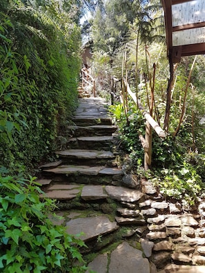 Chucao | Living area | Smart TV, Netflix - La Rueda del Chucao (Valdivia)