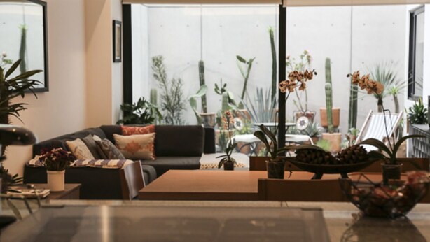 A modern living room with a sofa, coffee table, and various potted plants. - Cactus Private Terrace by Mr.W (Mexico City)