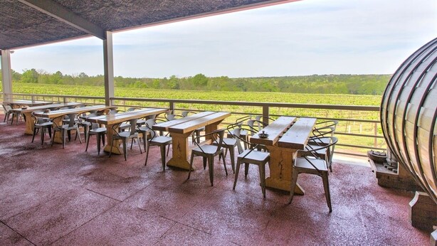 An outdoor patio with wooden tables and chairs, a view of a vineyard, and a large telescope. - Kiepersol Bed and Breakfast (Tyler)