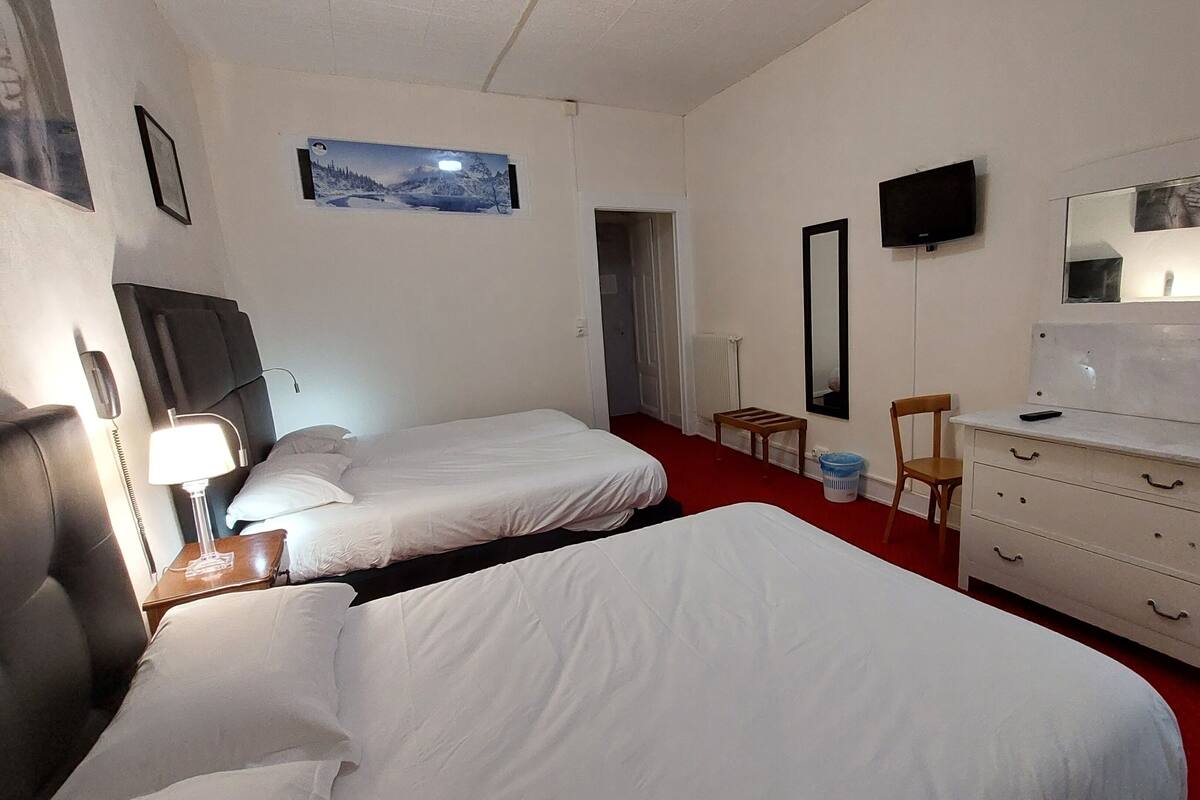 Een hotelkamer met twee éénpersoonsbedden, een dressoir, een spiegel, een televisietoestel en een klein tafeltje.