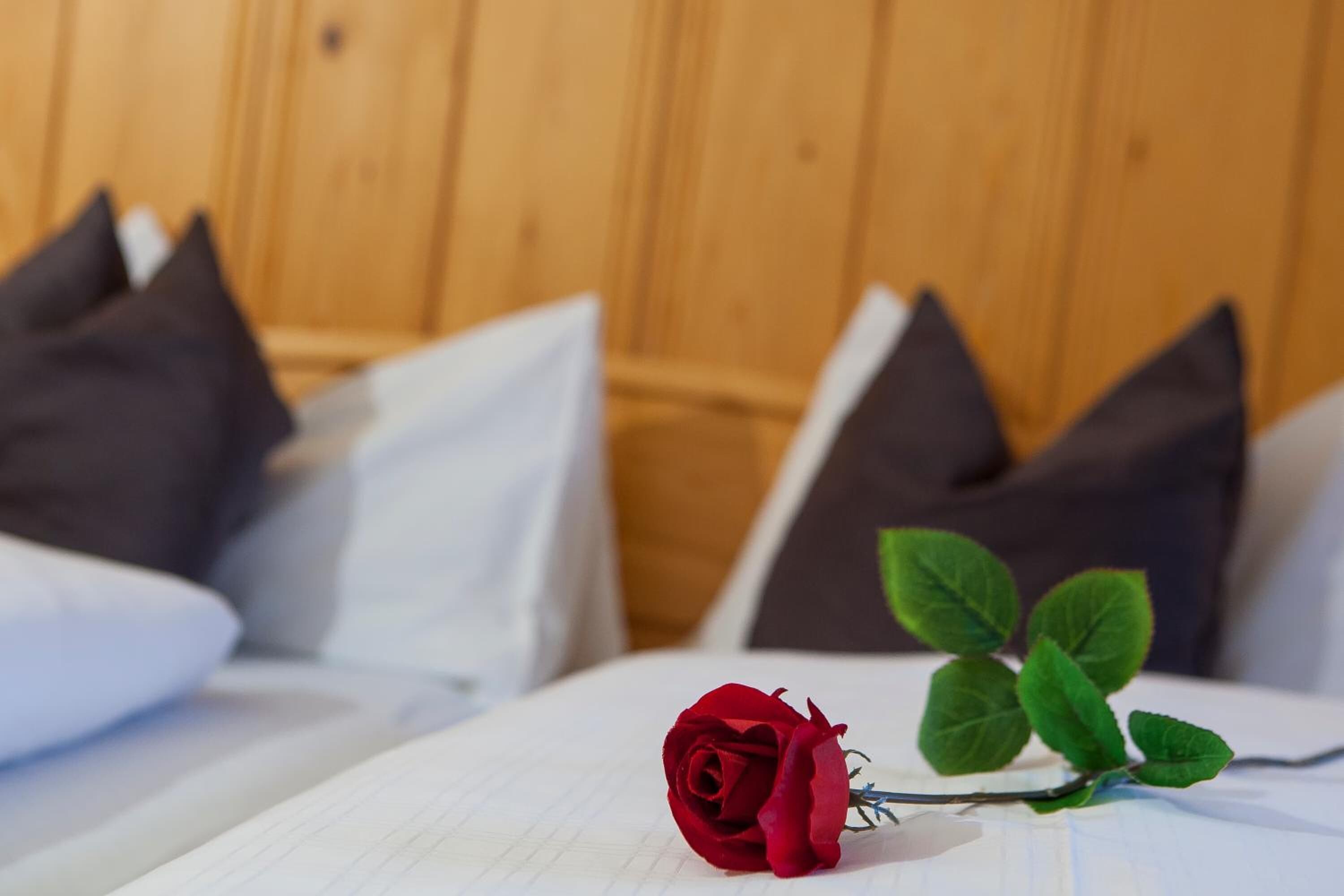 Een bed met een enkele rode roos en een groen blad op het kussen, voor een houten muur met donkere en lichte kussens.