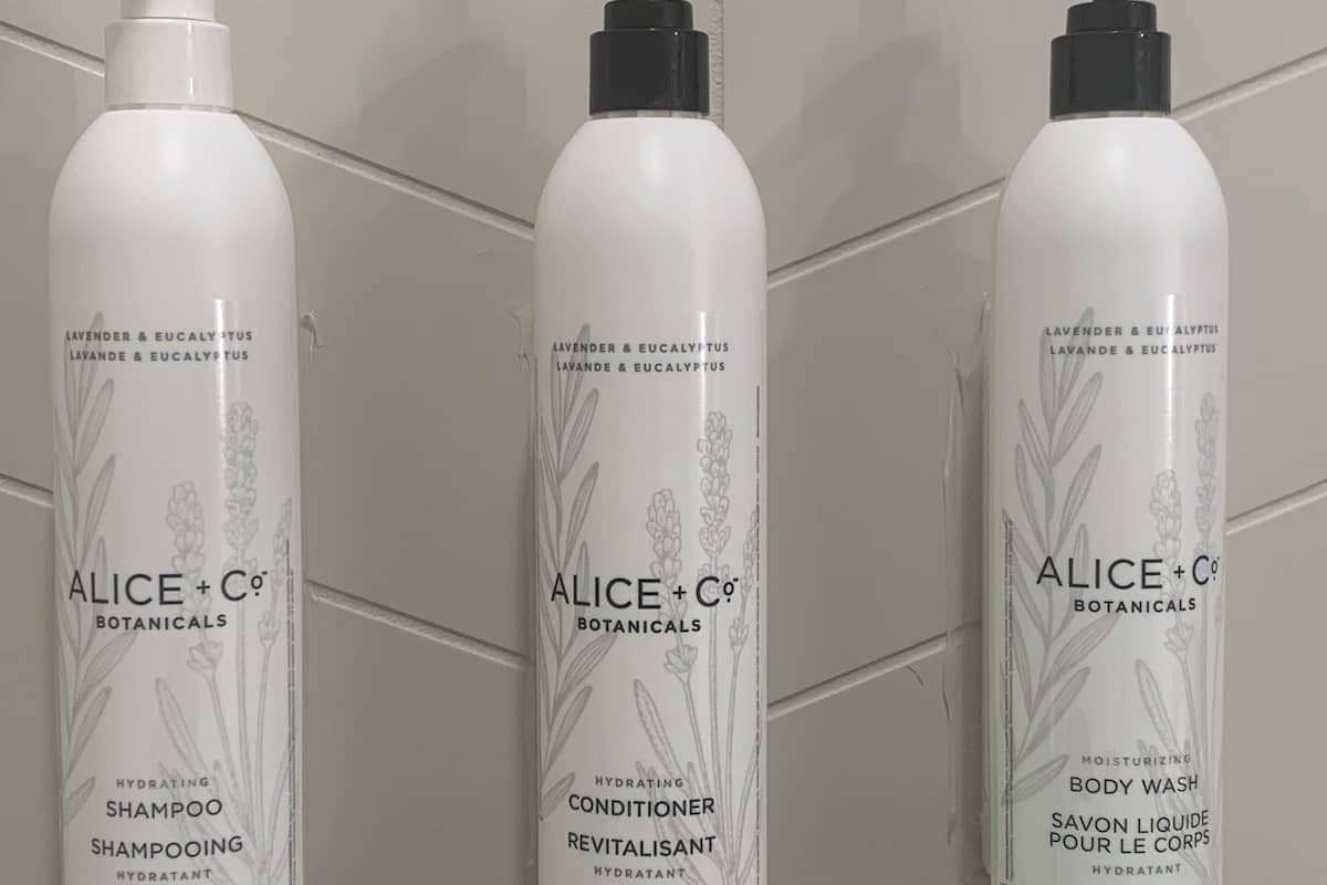 Free toiletries, hair dryer, towels, soap