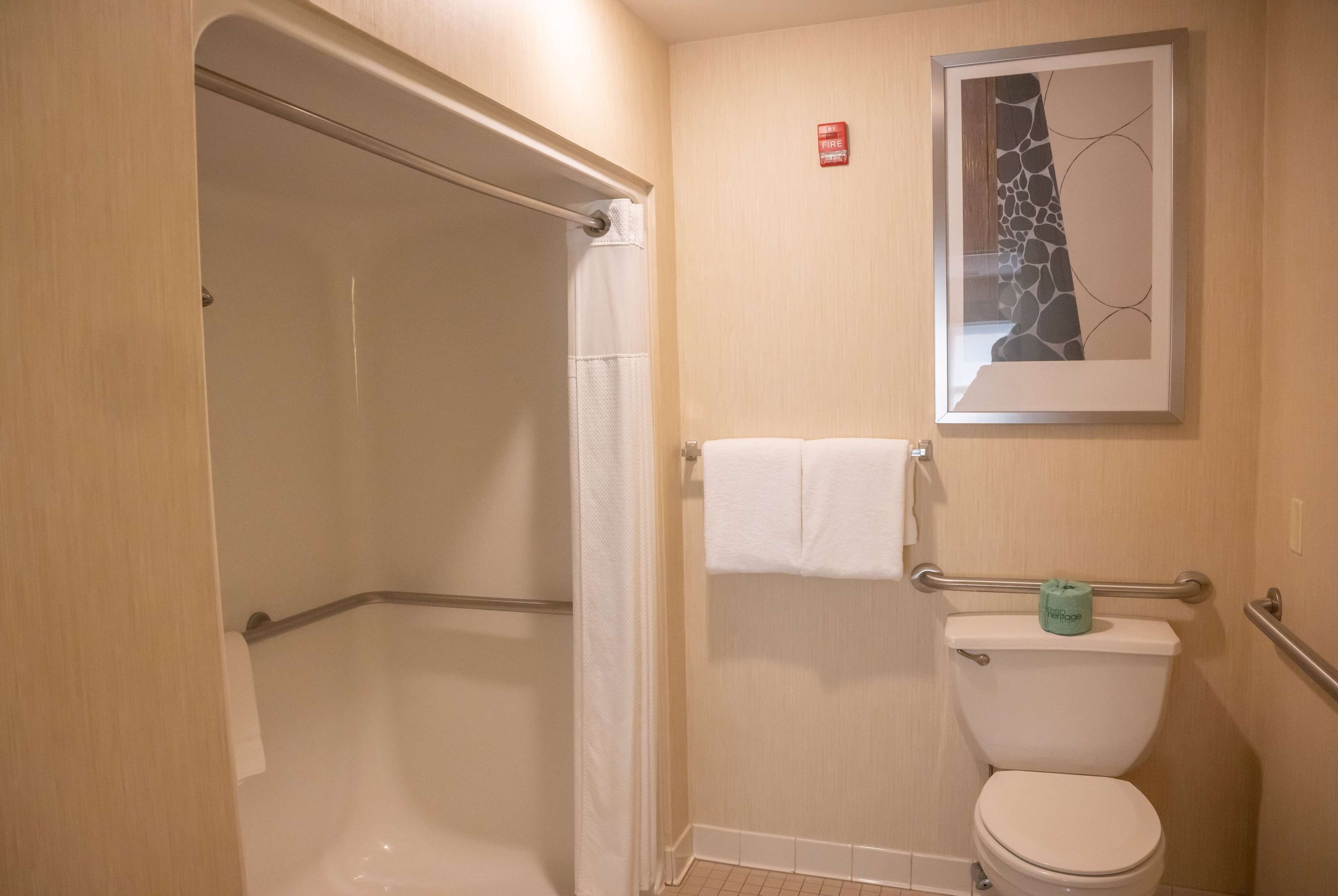A bathroom with a shower, toilet, and a framed artwork on the wall.