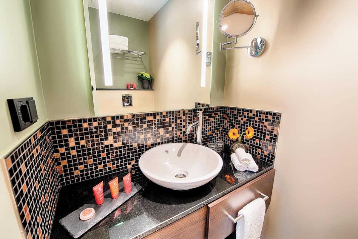 shower, rainfall showerhead, free toiletries, hair dryer