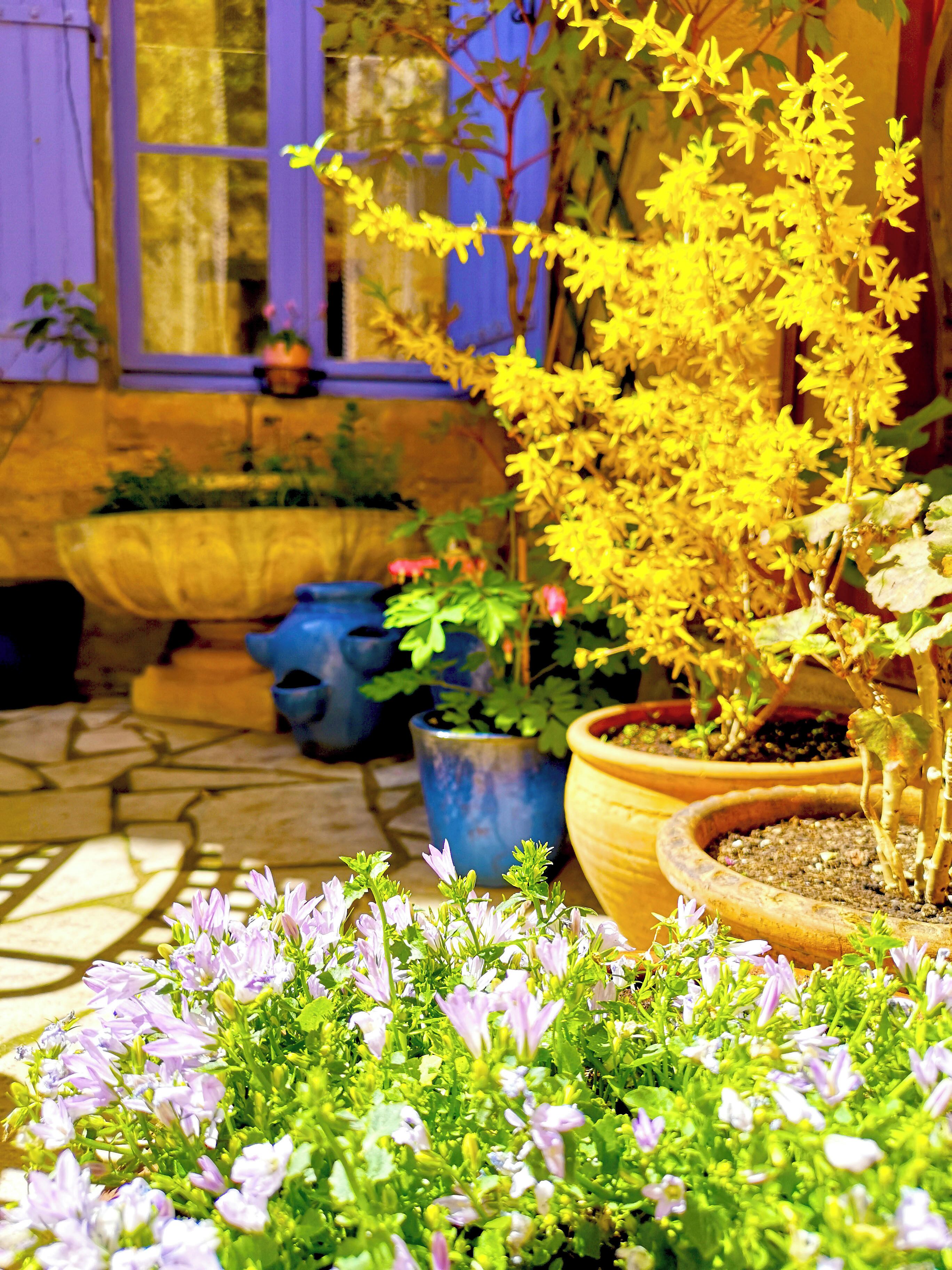 Photo - La Lanterne Chambres d'Hotes