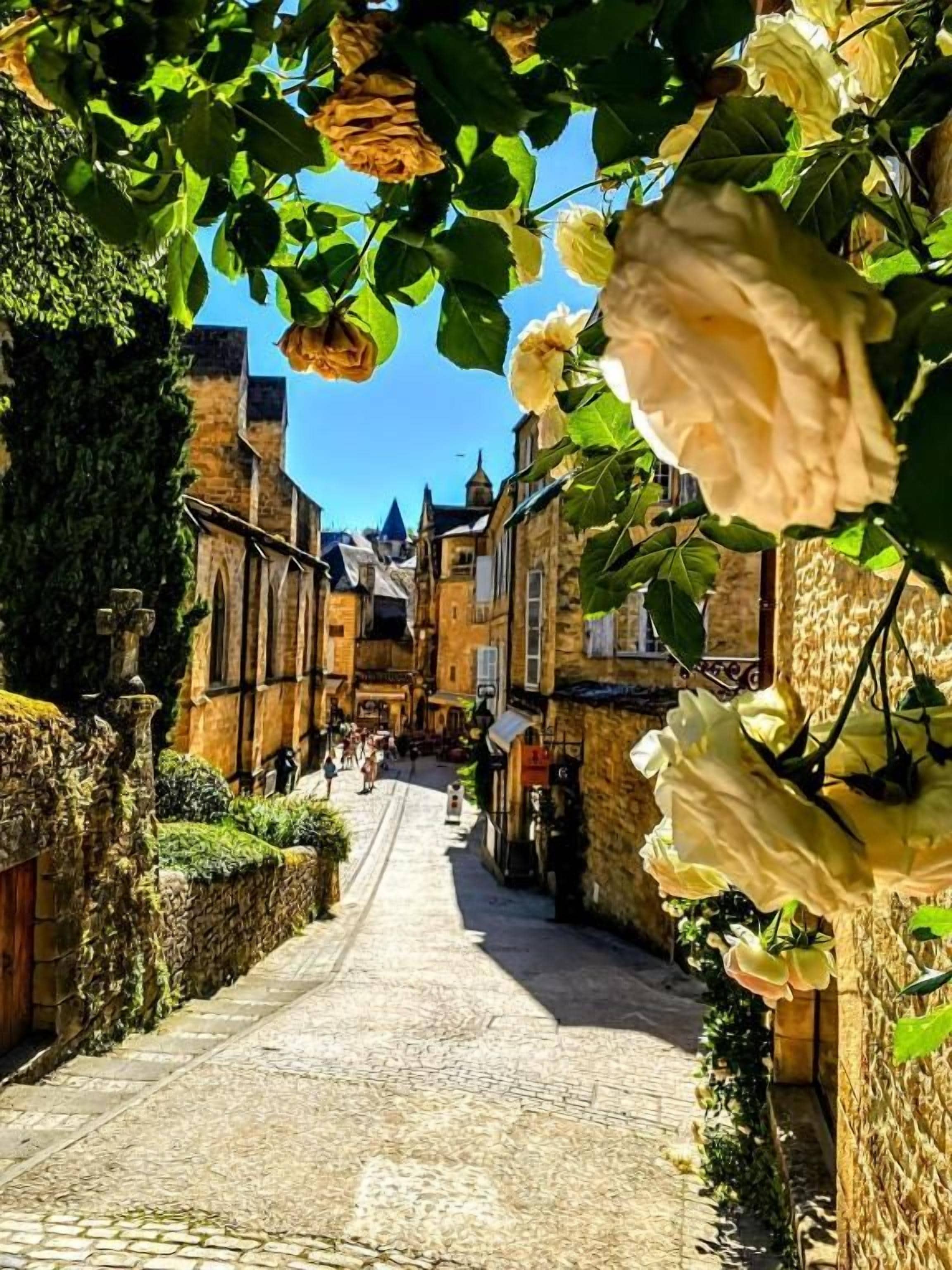 Photo - La Lanterne Chambres d'Hotes