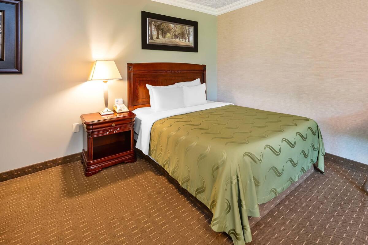 A hotel room with a wooden headboard, a green patterned bedspread, a nightstand with a lamp, and a framed picture on the wall.