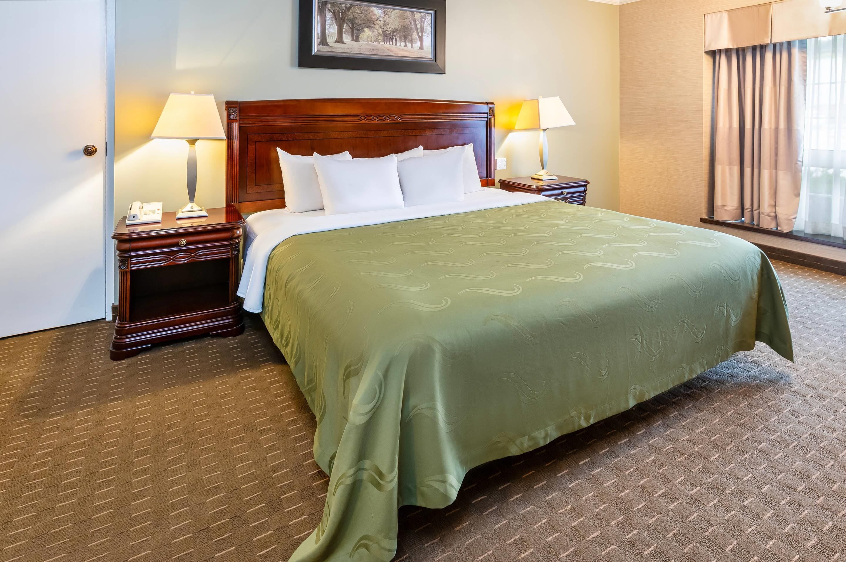 Room, 1 King Bed, Non Smoking | Desk, iron/ironing board, free cots/infant beds, rollaway beds