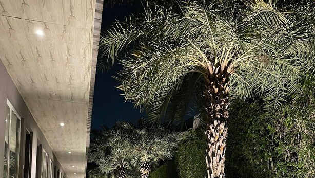 Un pasillo exterior bien iluminado con suelo de baldosas, palmeras y arbustos podados.