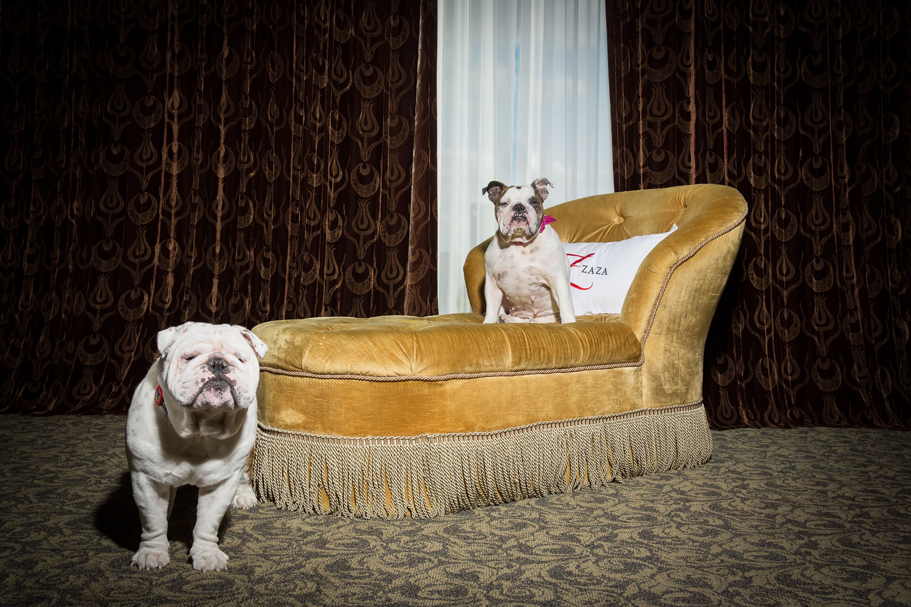 Foto - Hotel ZaZa Austin