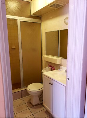 Shower, towels, soap, toilet paper