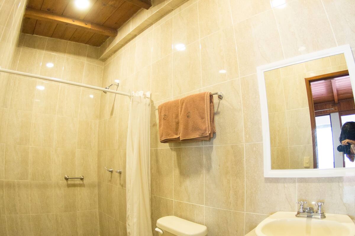 business room | bathroom | shower, rainfall showerhead, towels, soap
