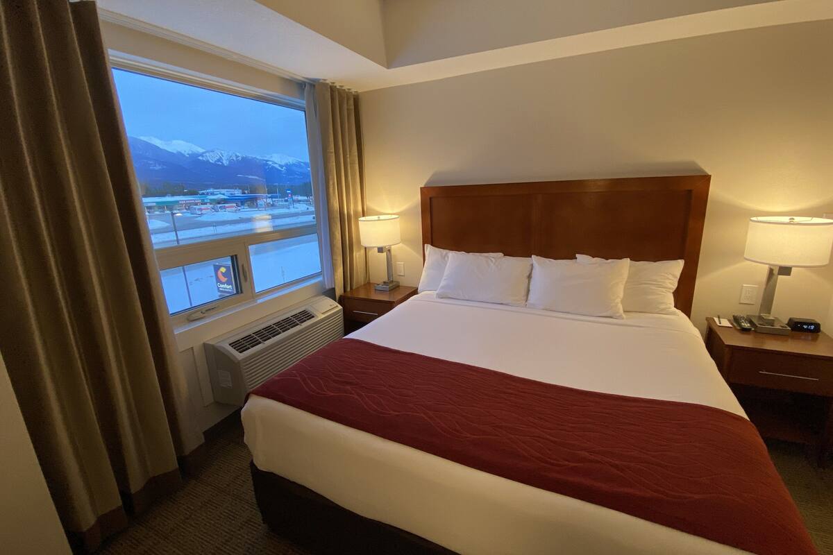 suite, 1 king bed with sofa bed, non smoking (efficiency) | 1 bedroom, desk, free wifi, bed sheets