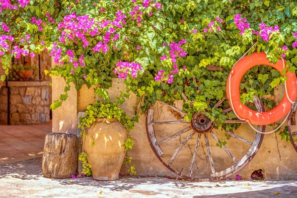 A wall with a large wheel, a planter, and a wooden stump.