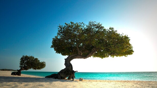 รูปภาพที่ไม่ได้จัดประเภท, 1 จาก 15, ปุ่ม