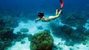 รูปภาพที่ไม่ได้จัดประเภท, 3 จาก 15, ปุ่ม