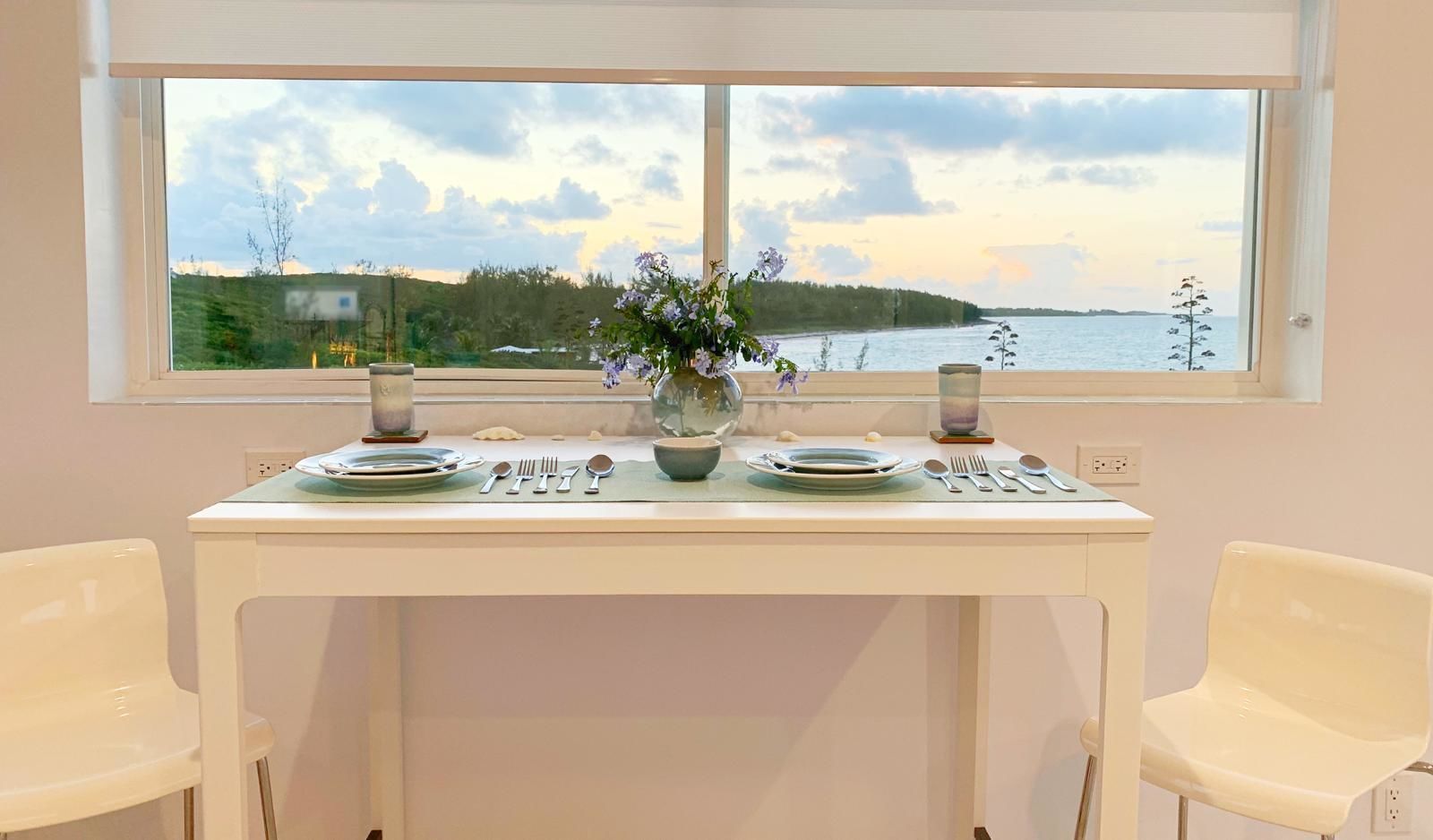 A dining table set with plates, cutlery, and a vase of flowers, with a scenic view of a lake and trees through a window.