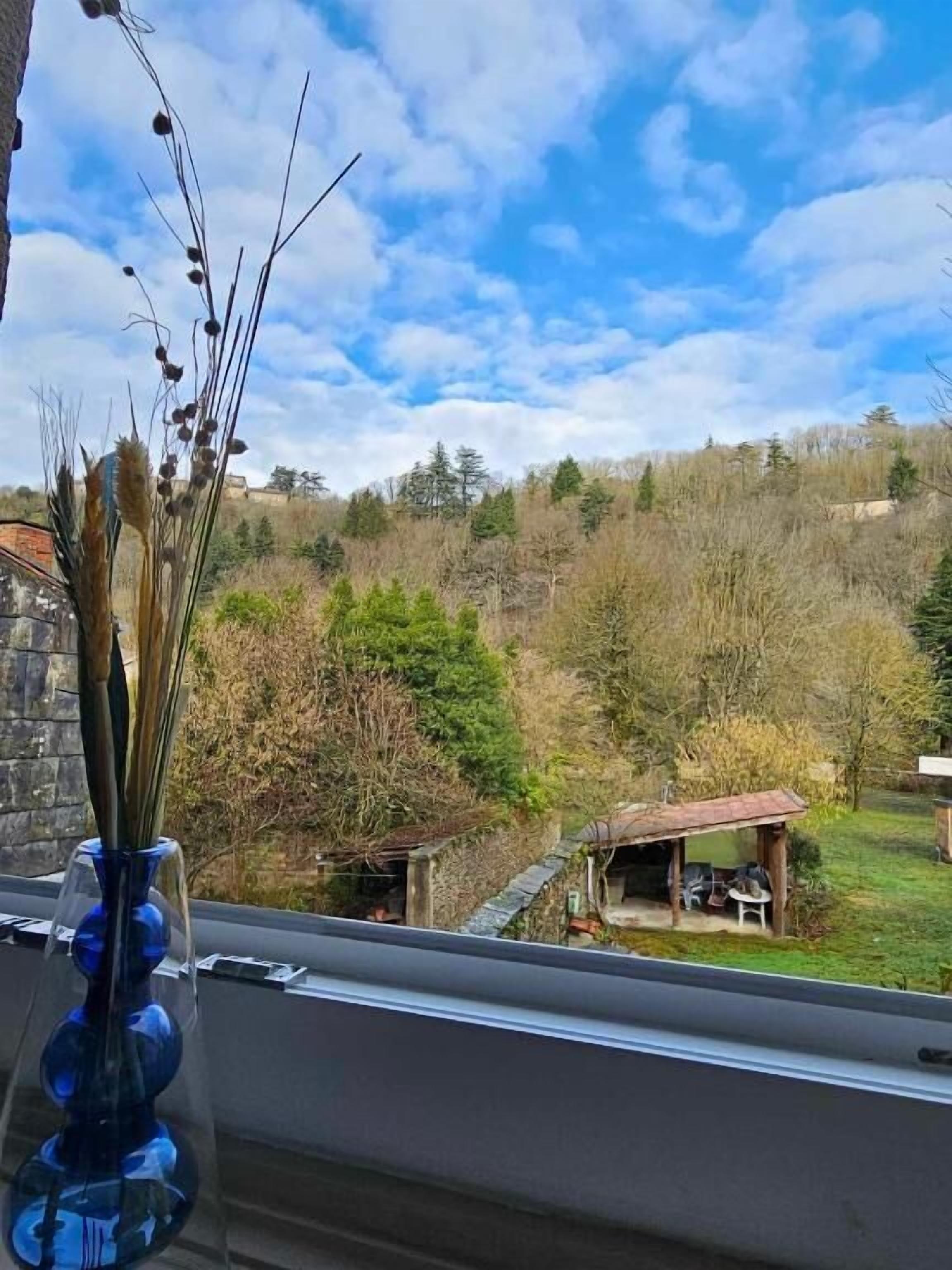 A view from a window overlooking a rural landscape with trees and a small building.