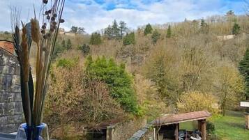 A view from a window overlooking a rural landscape with trees and a small building.