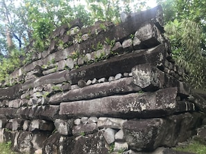 Ecotours