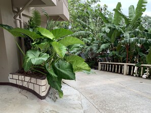 Khuôn viên nơi lưu trú