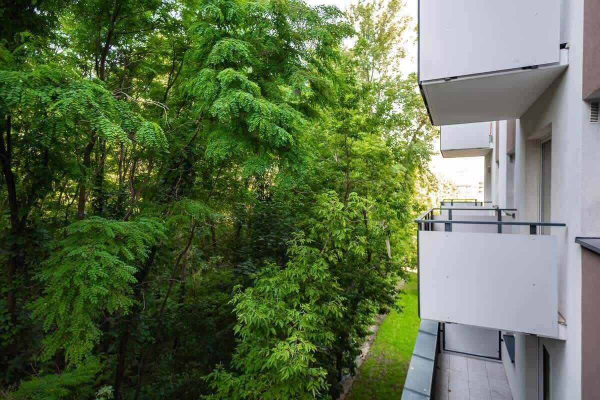 A modern building with a balcony overlooking a dense, green forest.
