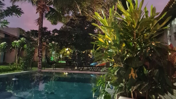Zona de piscina con palmeras y plantas en macetas, rodeada de un jardín y un edificio.