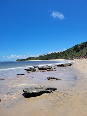 Ubicación a pie de playa y 3 bares en la playa
