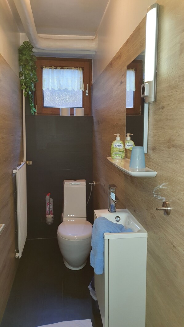 A compact bathroom with a toilet, sink, and a small window with a curtain. - At the gates of Hamburg, in the old country (Mittelnkirchen)