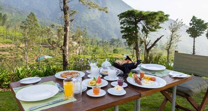 Tea & Experience Factory