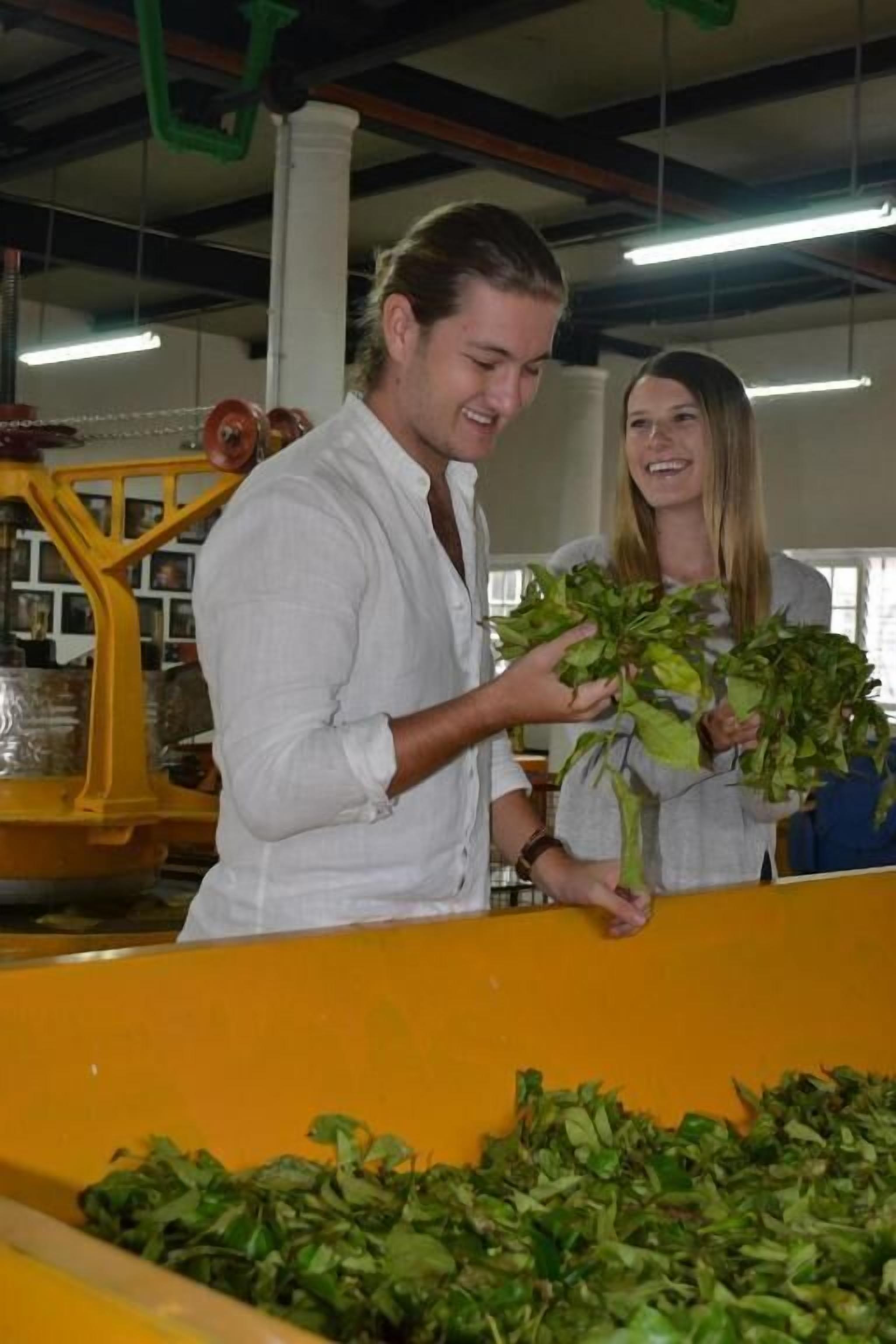 Two individuals holding leafy greens in an industrial setting with yellow machinery.